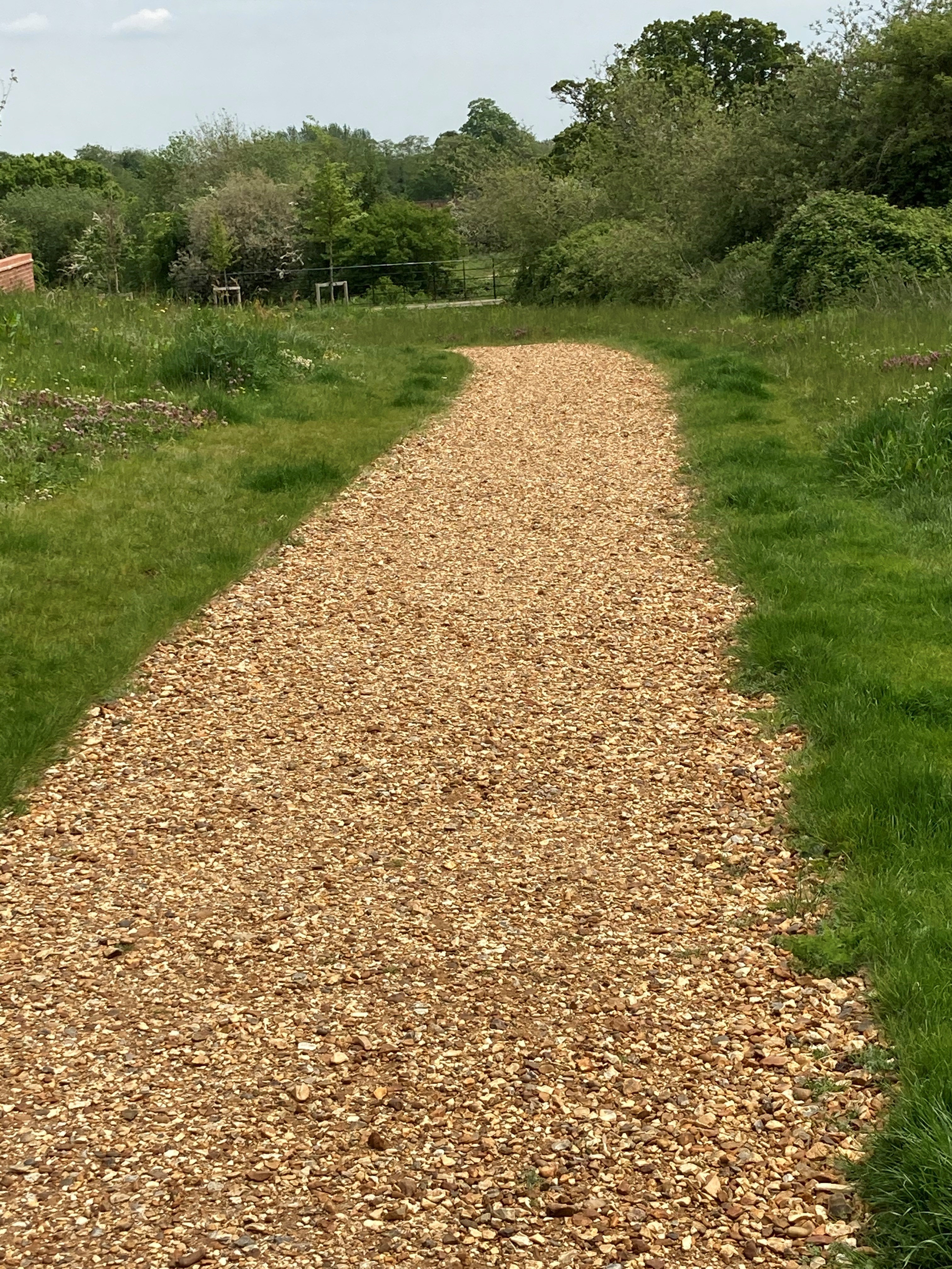 Ancient Path