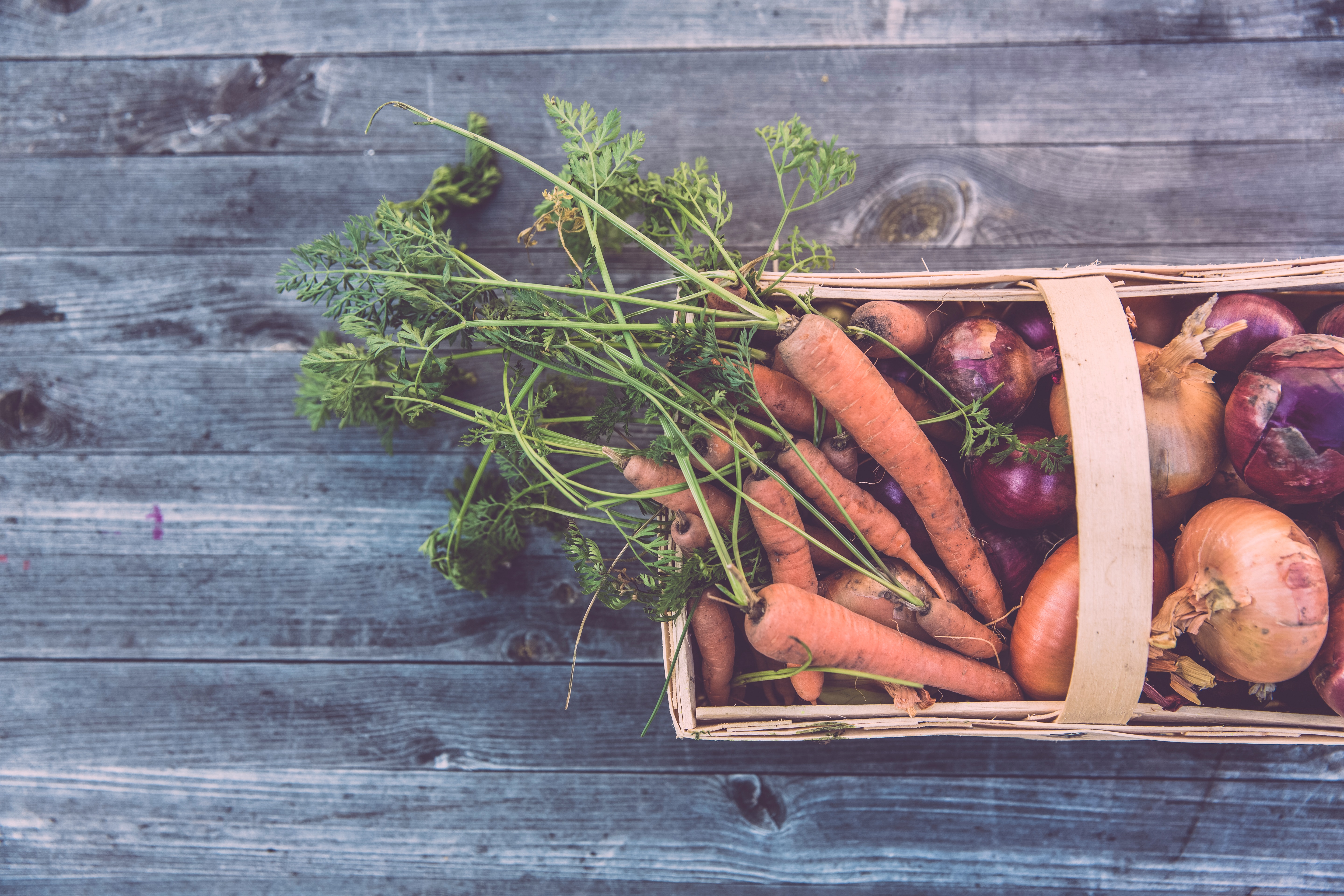 harvest basket