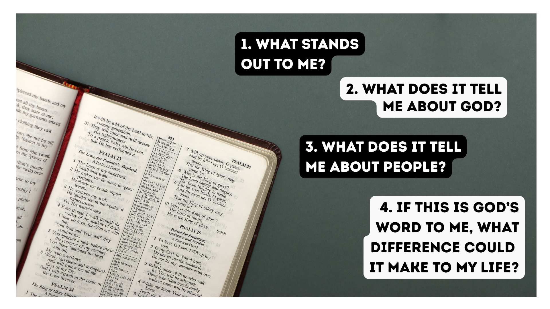 Bible Discovery Questions
